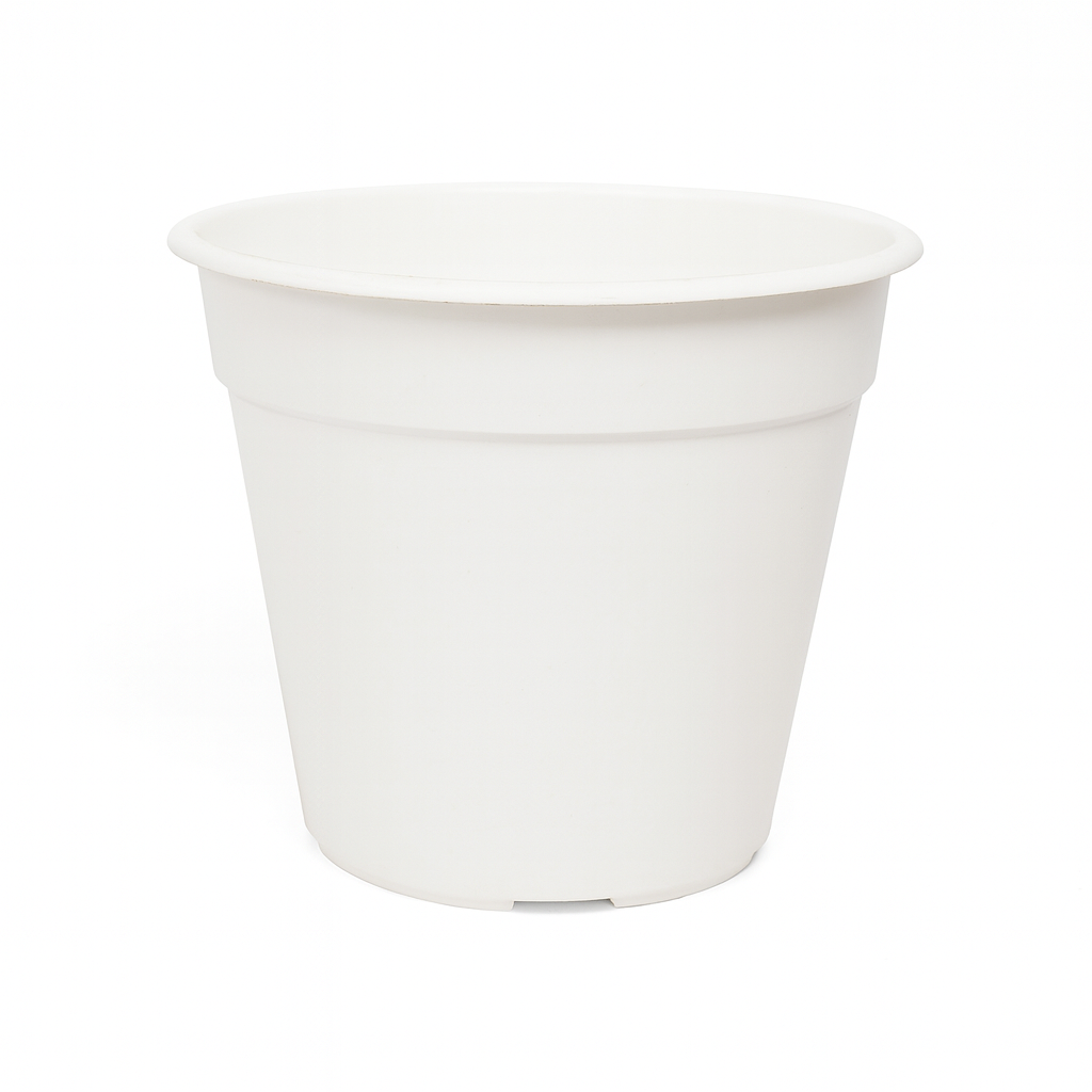 Maceta plástica Símil Nº10 Blanco Beruplast con terminación brillante, ideal para suculentas, cactus o flores pequeñas.