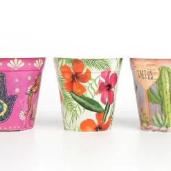 Maceta plástica decorada Nº10 Beruplast con diseños coloridos, ideal para cactus, suculentas y flores pequeñas
