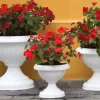 MACETA COPA MEDIANA CON BASE BLANCO - BERUPLAST