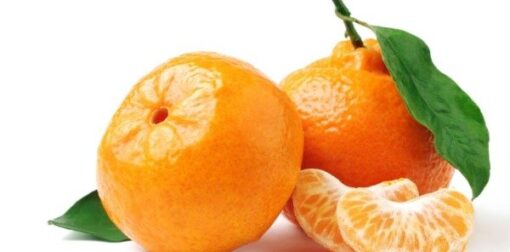 MANDARINA VAR. ENCORE 3L - Imagen 3