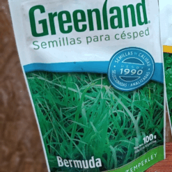 SEMILLA DE CESPED - BERMUDA GREENLAND X 100 G