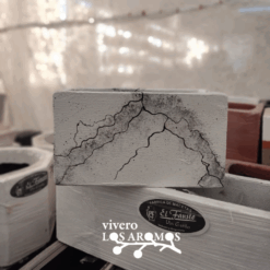 EL FAUSTO - JARDINERA 10 X 20 - DECORADA