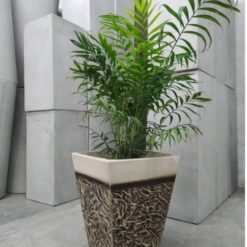 Maceta fibrocemento Piramidal 25 x 50 símil piedra El Fausto, artesanal y resistente para plantas ornamentales
