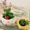 Maceta cerámica pollito amarilla, figura decorativa para suculentas o cactus