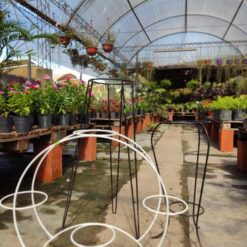 Portamacetas de hierro de distintos modelos, resistentes y decorativos, ideales para macetas de interior o exterior.