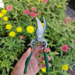 TIJERA DE PODAR BERTA