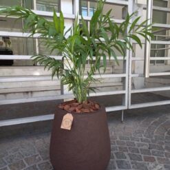 RAYUN - MACETA ROTOMOLDEADO MATE N°36/40 TEXTURADO - ARENA