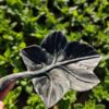 Bebedero–Comedero de hierro para jardín, accesorio decorativo y resistente para atraer aves