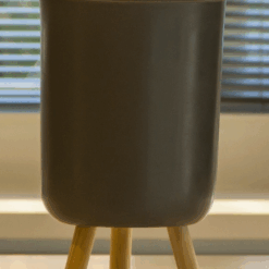 SANTO BENITO - VAN GOGH - GRIS CLARO