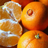 Naranja Navelina madura en rama con hojas verdes