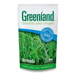 Semilla de césped bermuda Greenland para césped verde, resistente y de rápido crecimiento