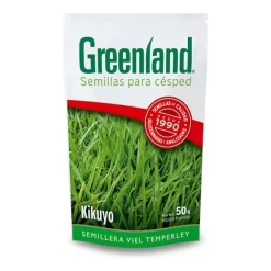 Semilla de césped kikuyo Greenland para formar césped verde y resistente en jardines
