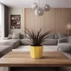 ophiopogon rubi planta ornamental follaje oscuro jardin