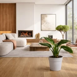 spathiphyllum sensation lirio de la paz gigante planta interior hojas grandes