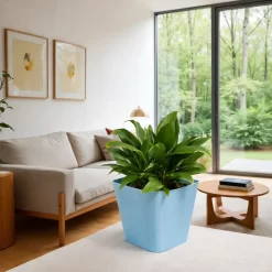 spathiphyllum dorado variegado planta interior hojas verdes amarillas