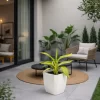 achira disciplinada 3l planta tropical hojas largas jardin paisajismo ornamental