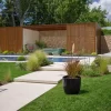 pennisetum rubra 3l graminea ornamental roja jardin moderno paisajismo