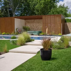 pennisetum rubra 3l graminea ornamental roja jardin moderno paisajismo